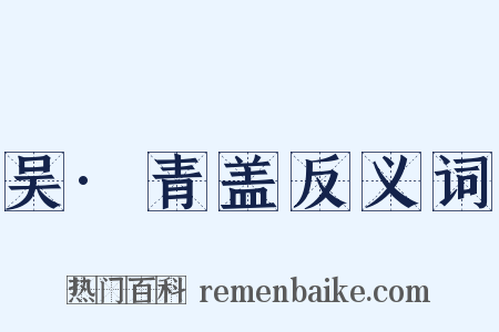 吴·青盖反义词是什么意思的图片